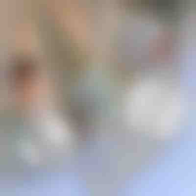 Fita de reparação para redes mosquiteiras | INSECTAPE