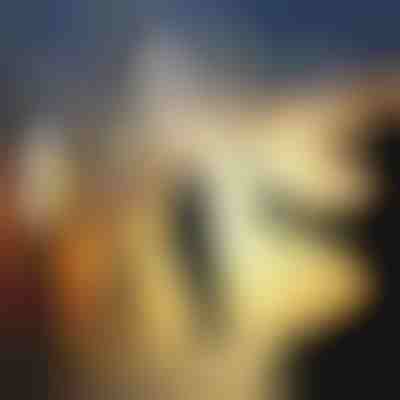 Mini cana de pesca | HANDYFISH