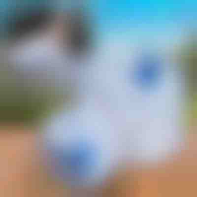 Depósito de Água Dobrável (10L) | AQUATANK