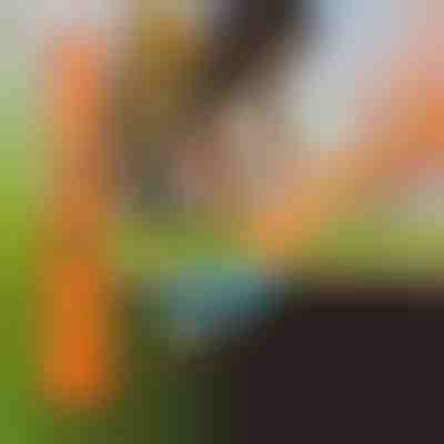 Detetor de Metais Portátil com Vibração Sonora | HANDYHUNT