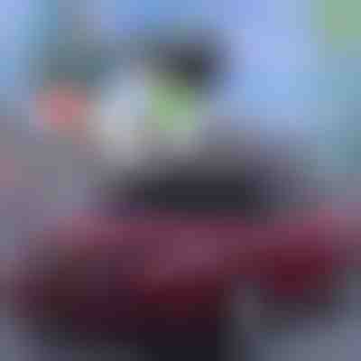 Melhor proteção de verão para carros! | CARCOVER