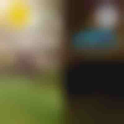 Luzes solares para um jardim tropical | LUMIPALM