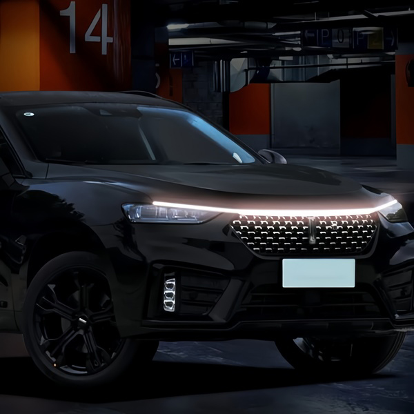 HOODSHINE13098__9489b134