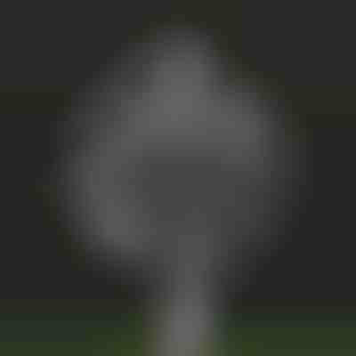 Cata-vento cinético mágico de jardim | WINDARA